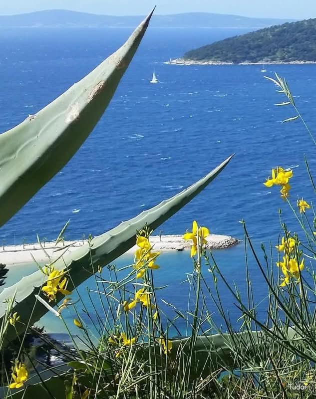 Apartments Slavica Trogir Luaran gambar